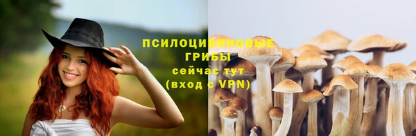а пвп мука Богородицк