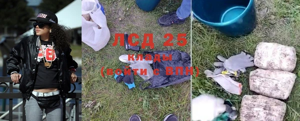 Альфа ПВП Бородино
