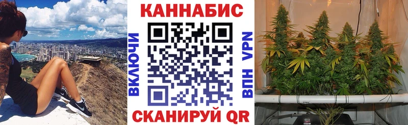 МАРИХУАНА SATIVA & INDICA  Могоча 